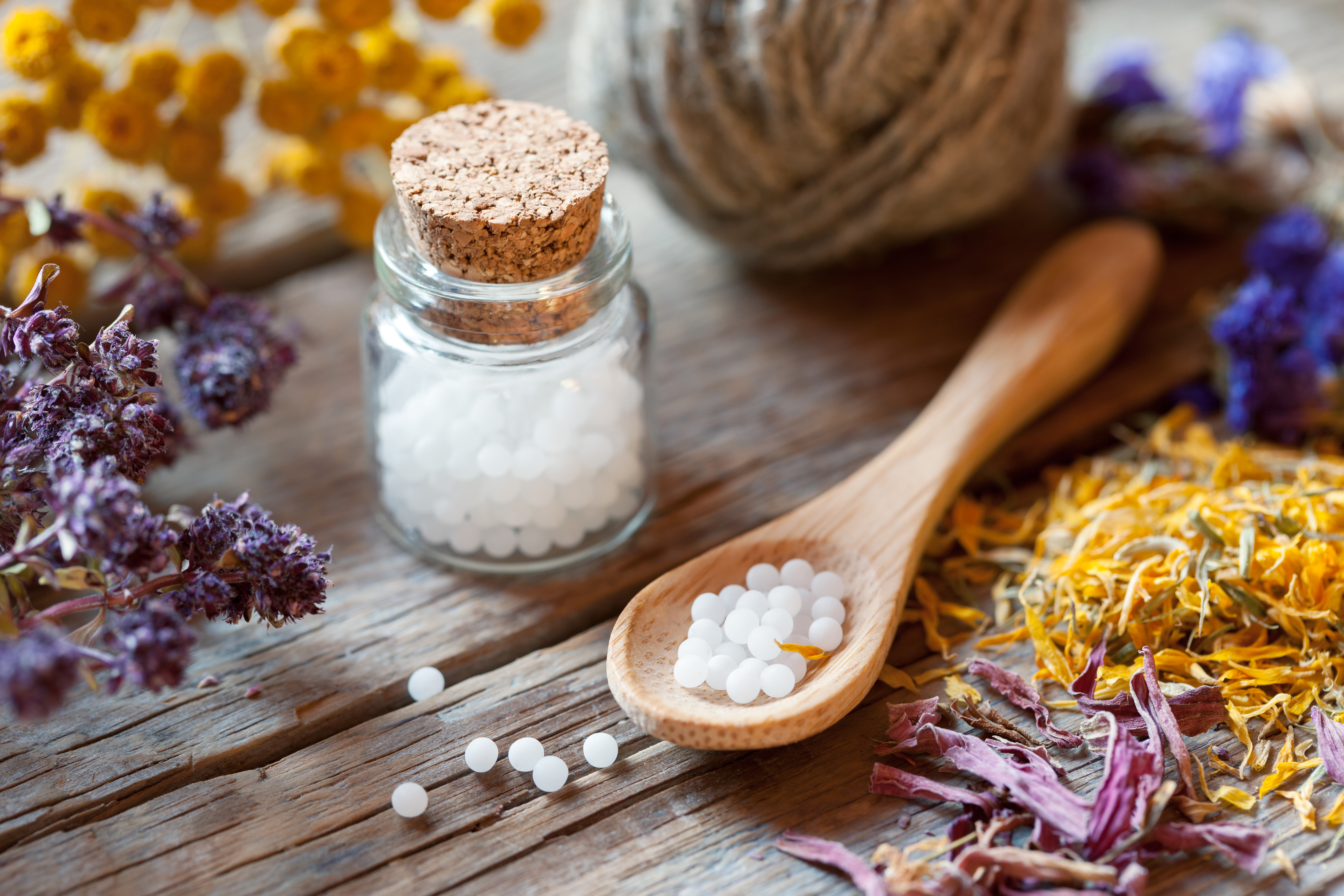 Homeopathic remedy pellets in a jar surrounded by dried medicinal herbs